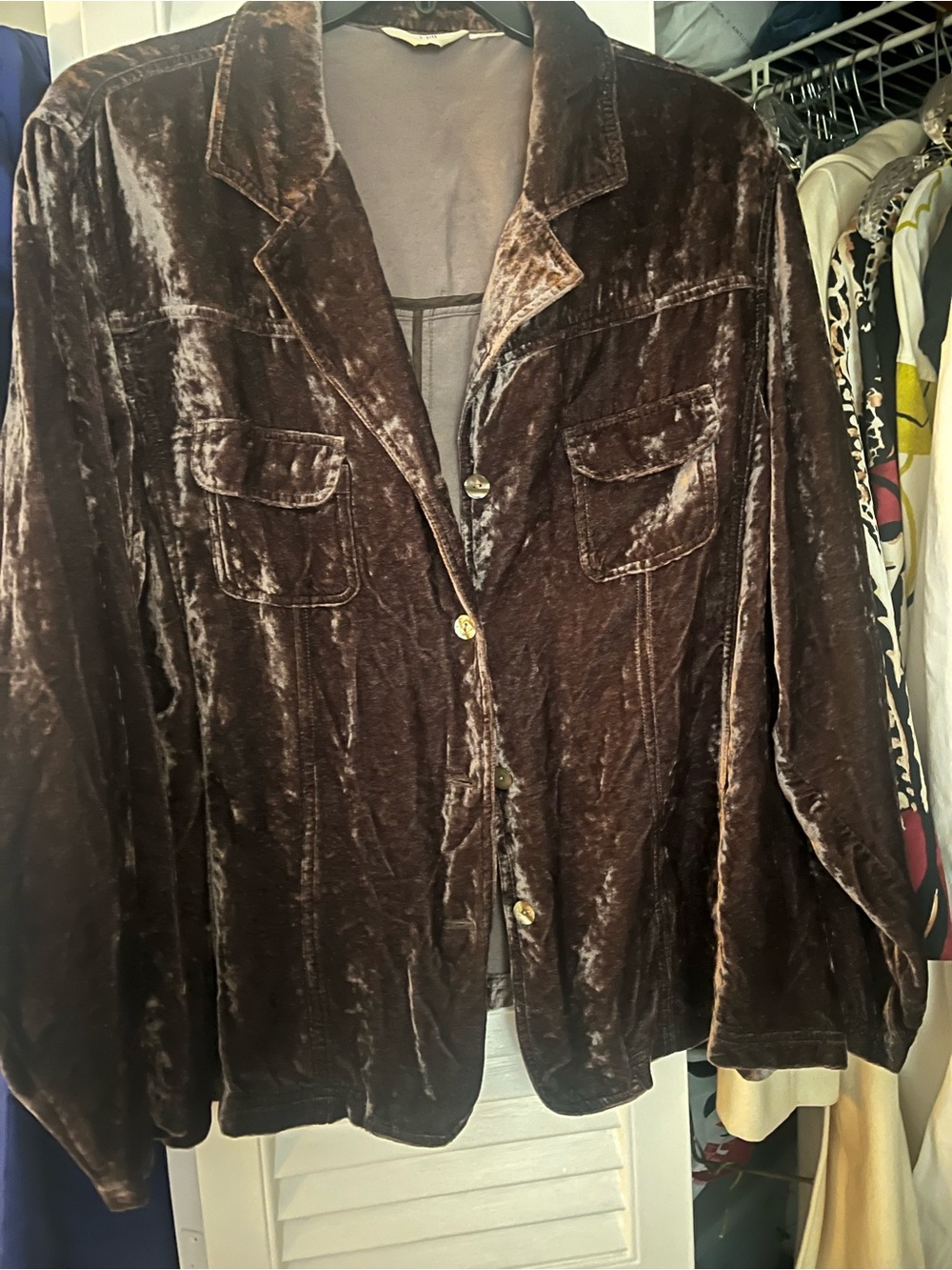 Women’s Distressed Velvet Jacket - Brown